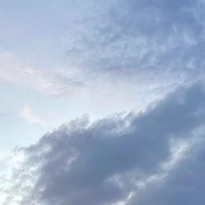 Meet your Posher, Cody